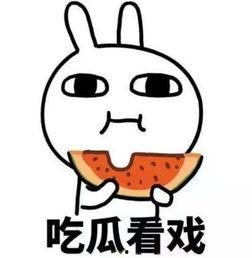 12点爆料吃瓜,娱乐圈最新瓜料大揭秘！