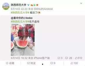 吃瓜学校完结版,揭秘校园风云，完结篇