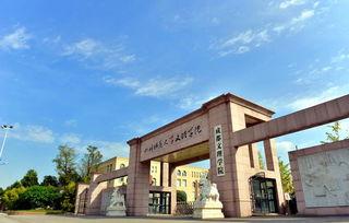 成都文理 吃瓜,揭秘校园“吃瓜”背后的故事