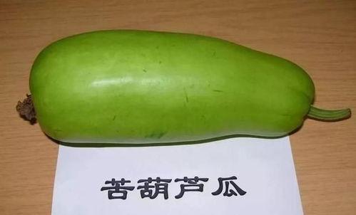 吃甜葫芦瓜,探寻甜葫芦瓜的独特魅力